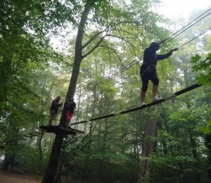 accrobranche2017