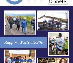 Aktivitätsbericht 2017