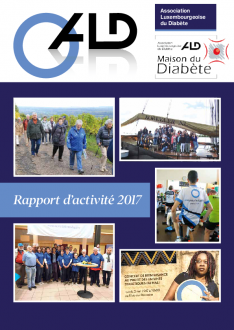 Aktivitätsbericht 2017